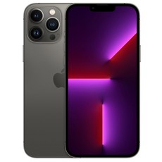 Apple 아이폰 13 Pro Max 자급제, 그래파이트, 256GB