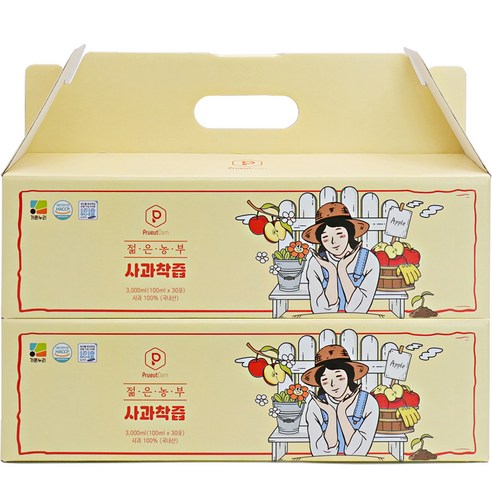 푸릇담 젊은농부 NFC 사과즙 30p, 3000ml, 2개