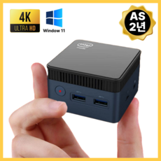 [이지컴] 초소형 올인원 미니 PC DDR5 12GB win11 한글 NVMe 탑재 데스크탑, 램12GB/SSD128GB(WIN11), WIN11 Pro, 블랙, EZ101, 128GB