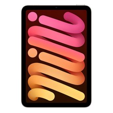 Apple 2024 아이패드 mini A17 Pro, 스타라이트, 256GB, Wi-Fi