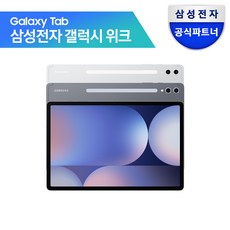 삼성전자 갤럭시탭 S10 플러스 256GB/512GB, Wi-Fi, 256GB, 플래티넘 실버