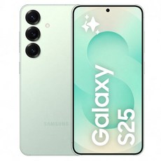 [예약판매] 삼성전자 갤럭시 S25 자급제 SM-S931N, 민트, 512GB