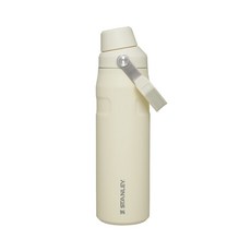 스탠리 아이스플로우 에어로라이트 패스트플로우 텀블러, 크림 글리머, 710ml, 1개