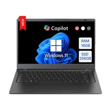 다오북 2025 14인치 1.32kg 윈도우11 탑재 컬러 노트북, 14-N100CCG, WIN11 Home, 16GB, 256GB, 다크 그레이