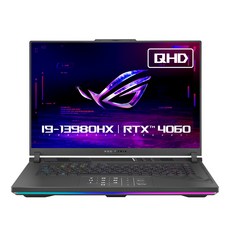 에이수스 2024 ROG 스트릭스 G16 코어i9 인텔 13세대 지포스 RTX 4060, Eclipse Gray, 1TB, 16GB, WIN11 Home, G614JV-N4117W