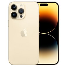 Apple 정품 아이폰 14 Pro Max 자급제, 골드, 256GB