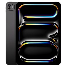 Apple 정품 2024 아이패드 프로 11 M4칩 스탠다드 글래스, 스페이스블랙, 512GB, Wi-Fi