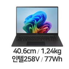 LG전자 2025 그램 Pro 16 코어Ultra7 루나레이크, 그레이, 1TB, 32GB, WIN11 Home, 16Z90TS-GU7BK