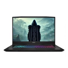 MSI Sword GF76 게이밍 노트북 17.3 코어i7 인텔 13세대 지포스 RTX 4060, 블랙, 2TB, 32GB, WIN11 Pro, B13VFK