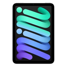 Apple 2024 아이패드 mini A17 Pro, 스페이스 그레이, 256GB, Wi-Fi+Cellular