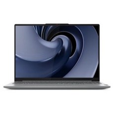 레노버 2024 아이디어패드 프로 5i 16IRH 코어Ultra7, Arctic Grey, 2TB, 32GB, WIN11 Pro, 83D4005AKR