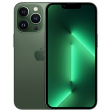 Apple 아이폰 13 Pro 자급제, 알파인그린, 256GB