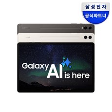 삼성전자 갤럭시탭 S9 플러스 256GB/512GB, 베이지, 256GB, Wi-Fi+Cellular